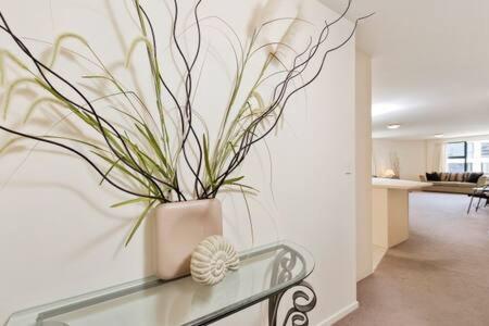 Oceanside Apartment Mount Maunganui Extérieur photo